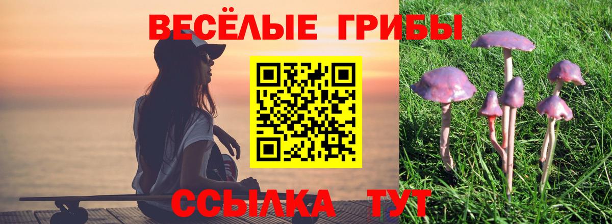 Галлюциногенные грибы Psilocybe Павлово